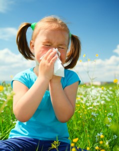 Spring Allergies