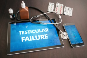 Testicular Cancer